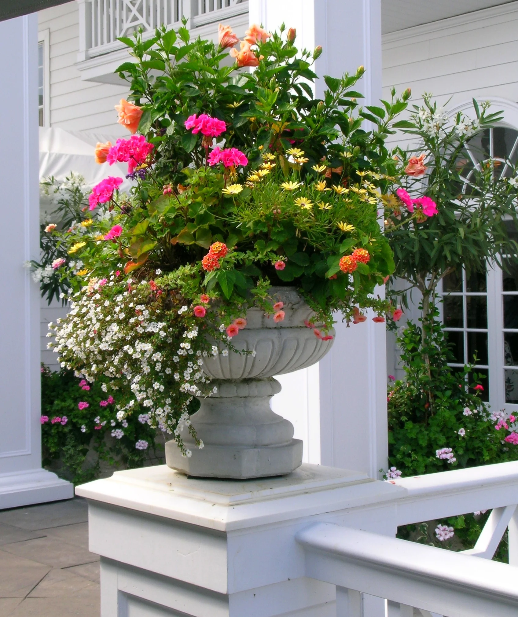 DSCN4989.JPG