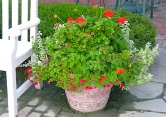 DSCN5286.jpg