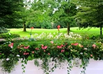 DSCN5308.jpg