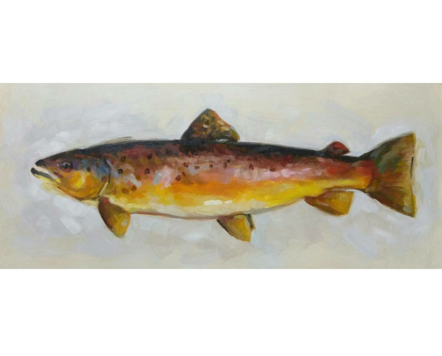 South Fork Brown, 7x15