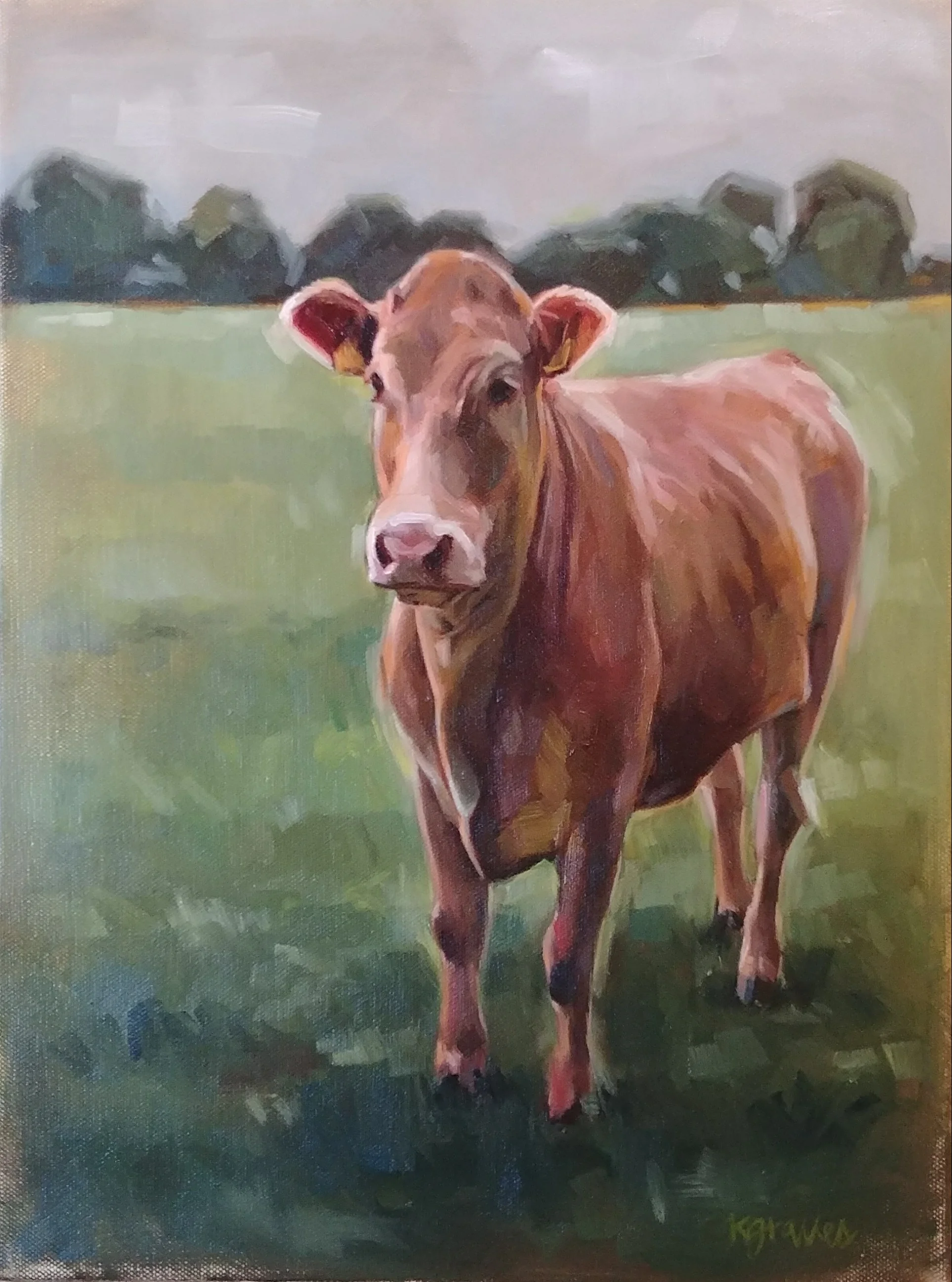 Ireland Cow, 12x16