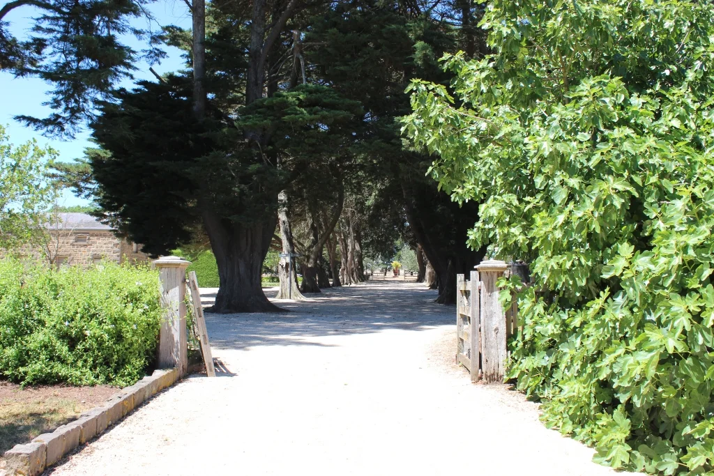 MtMitchell 2101201706.jpg