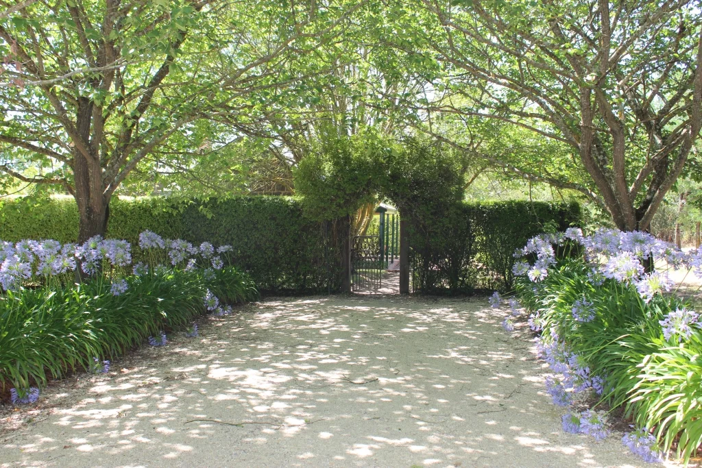 MtMitchell 2101201709.jpg