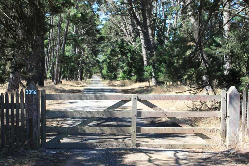 MtMitchell 2101201727.jpg