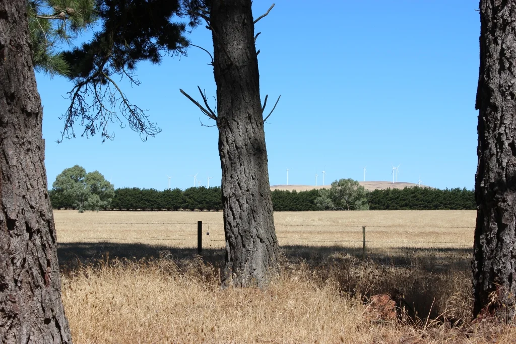 MtMitchell 2101201725.jpg