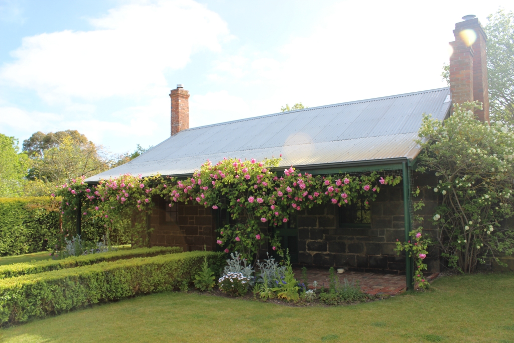 Mount Mitchell cottage.jpg