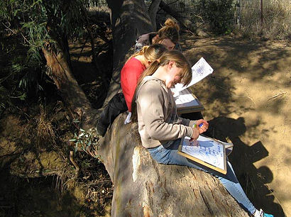 wholebrain student group outside.jpg