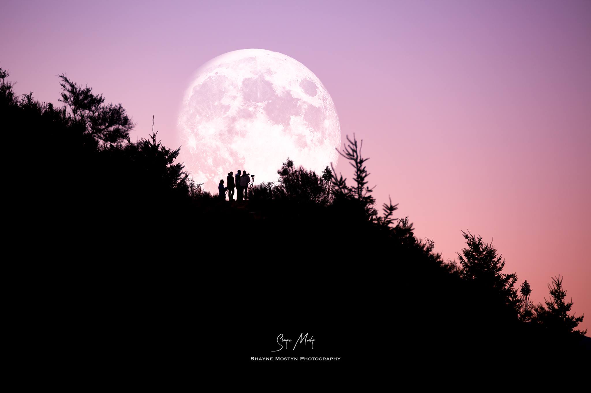 shayne mostyn moon group.jpg