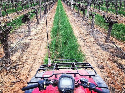 sultana sisters tractor 2.jpg