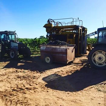 sultana sisters machinery.jpg