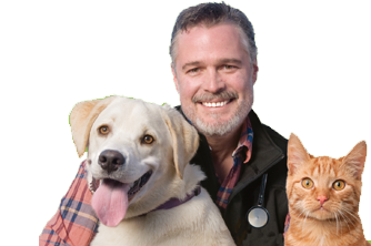 dr-bruce-with-cat-and-dog.png