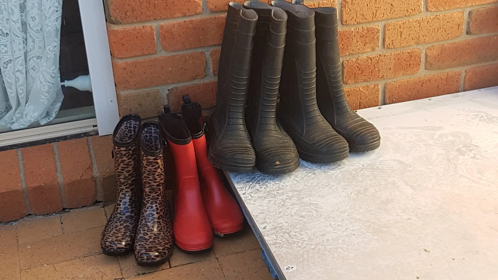 1-Lake Tyrrell Accom boots 2019.jpg