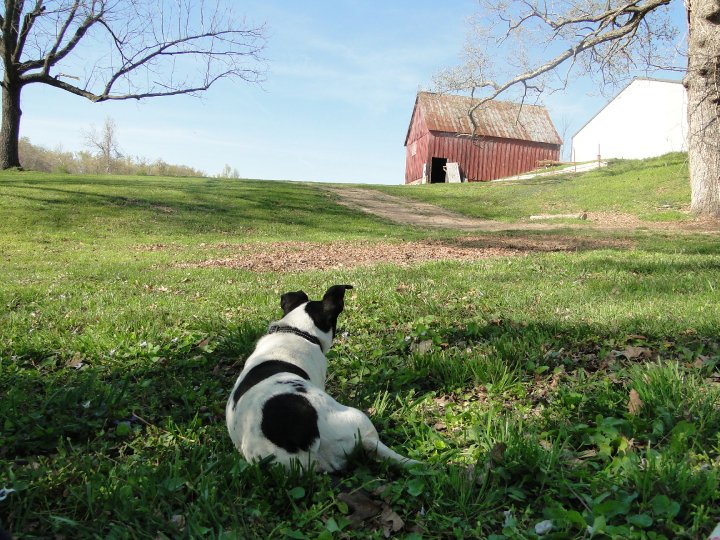 Old red Barn.jpg