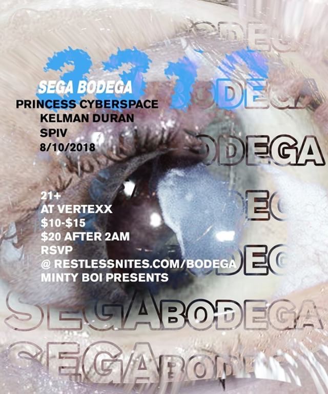 PRINCESS CYBERSPACE LIVE AT VERTEXX LOS ANGELES DTLA SEGA BODEGA.JPG