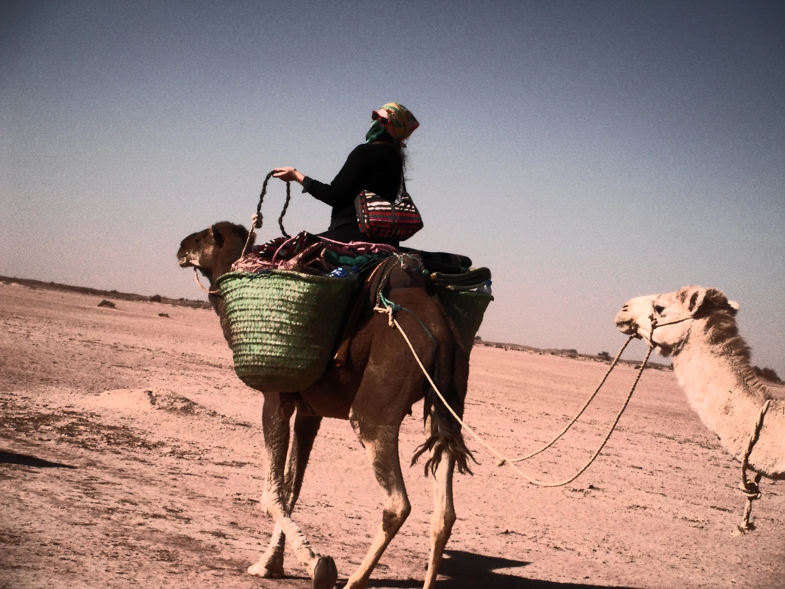 The Sahara Desert