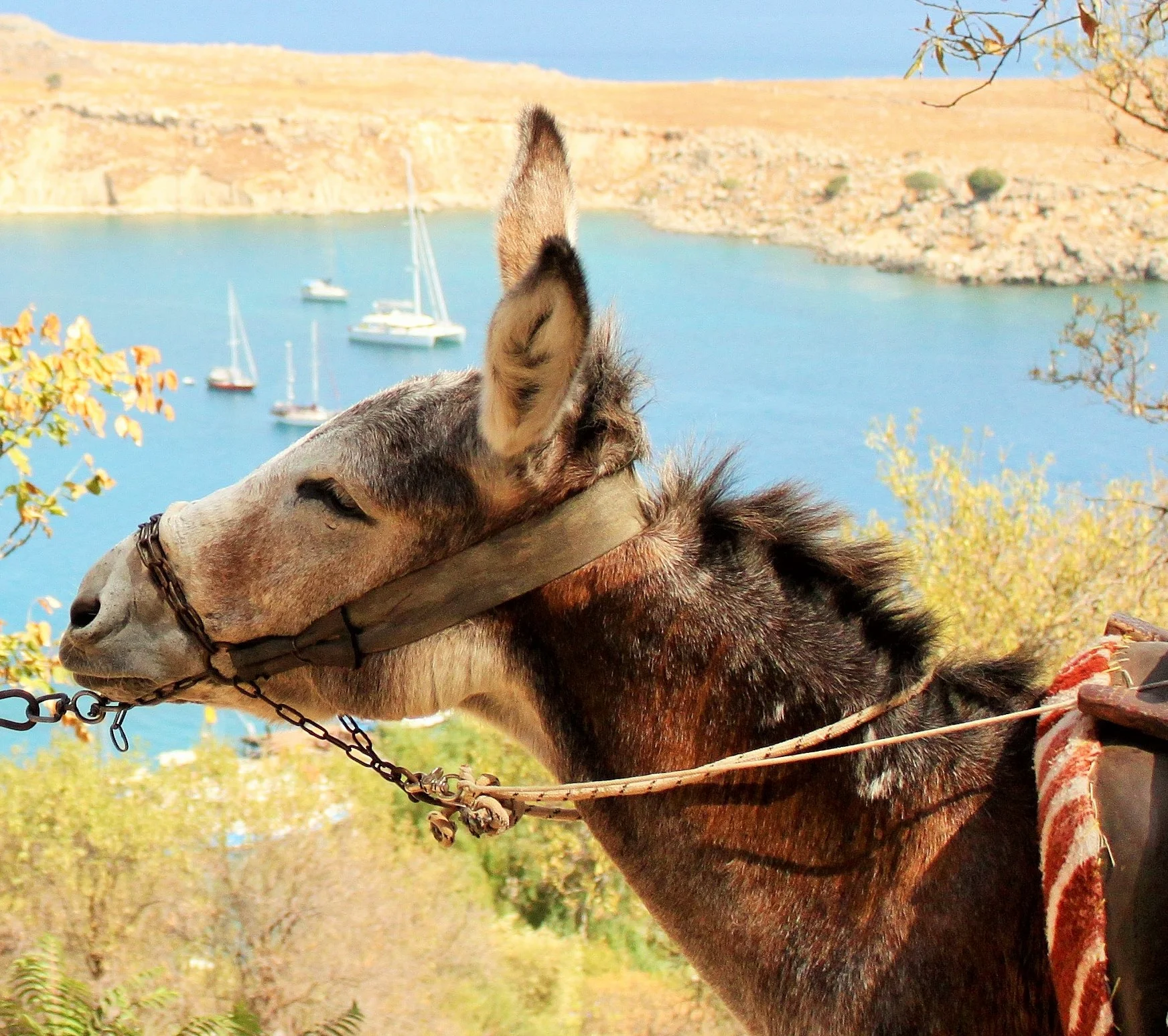 Village of Lindos