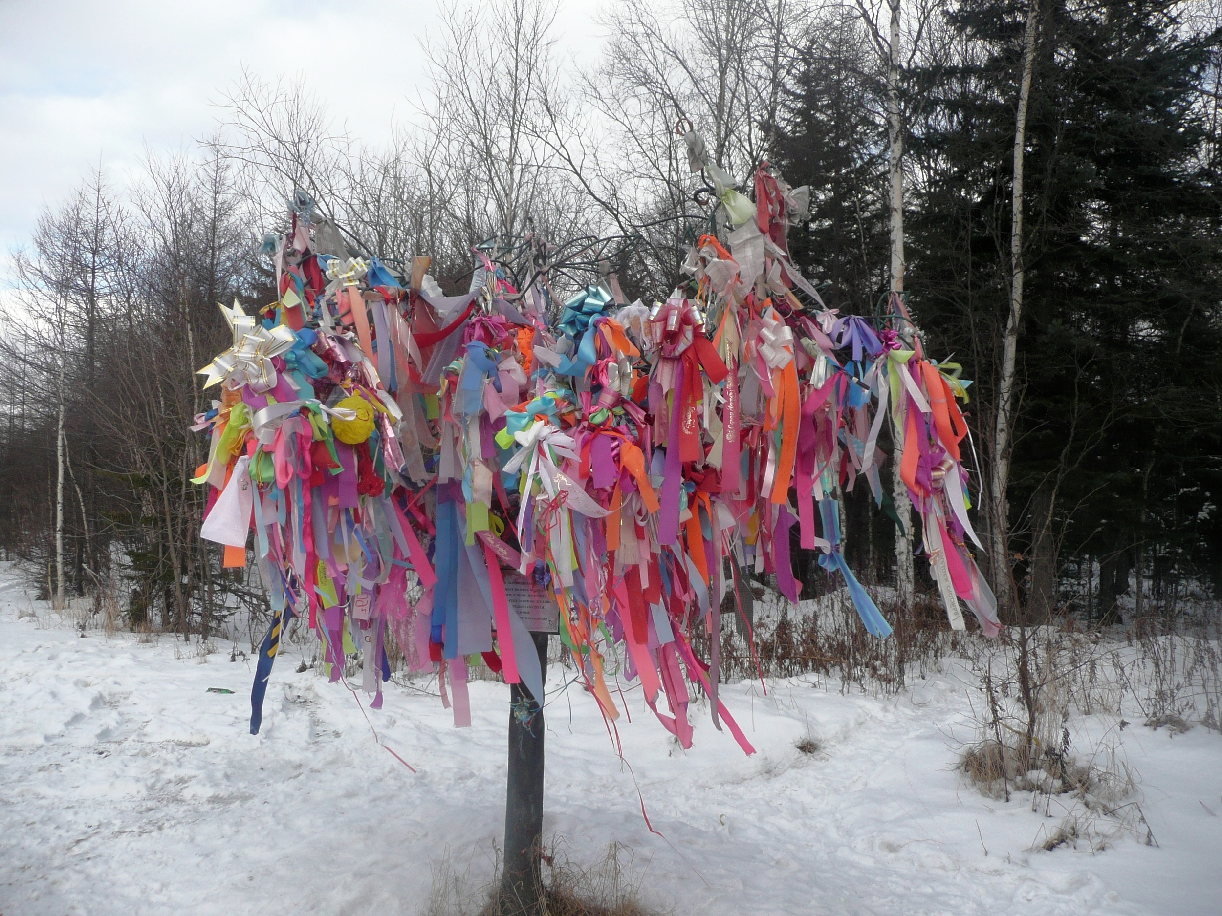 Love and Word Ribbon Tree