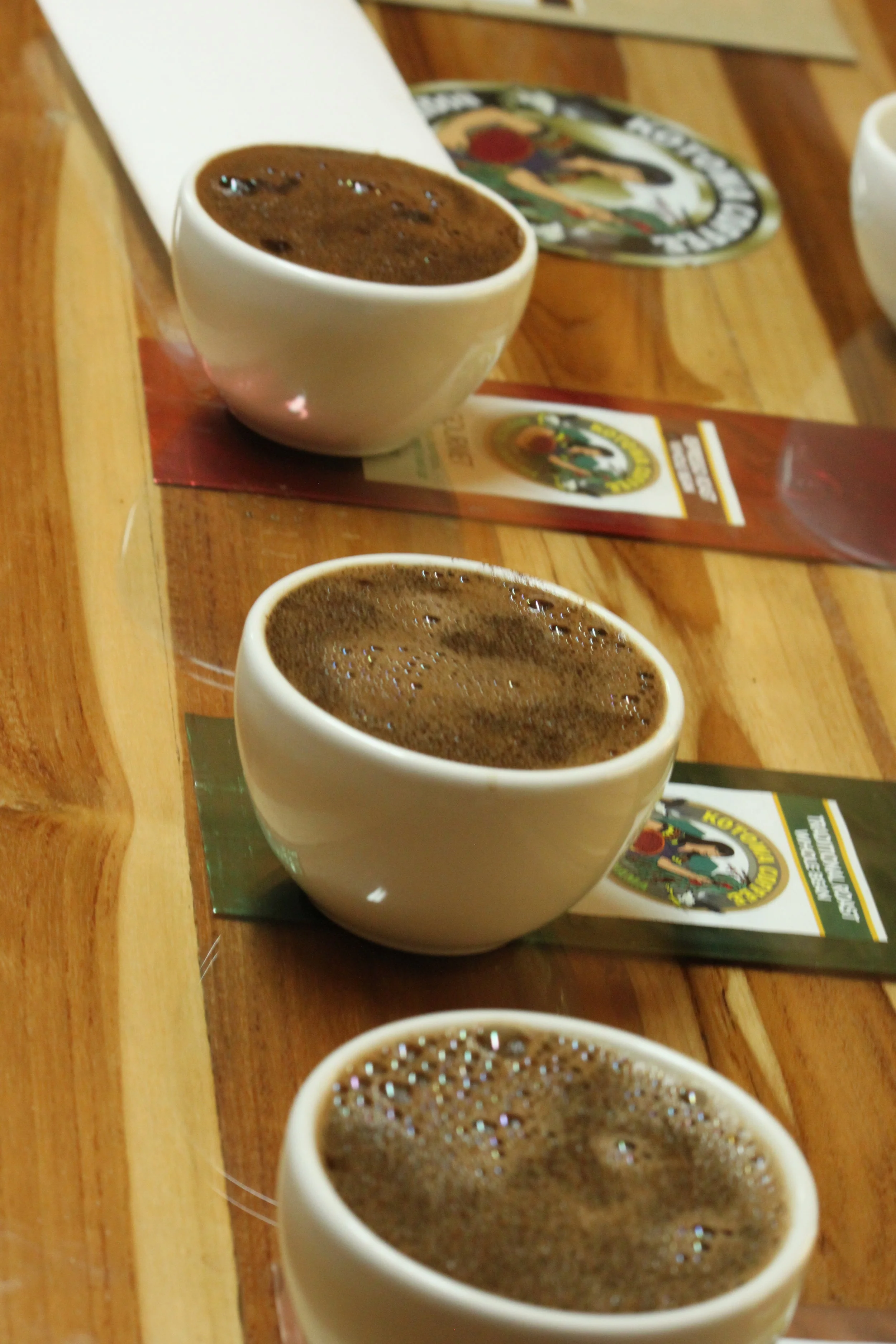 Tasting Coffee in Boquete