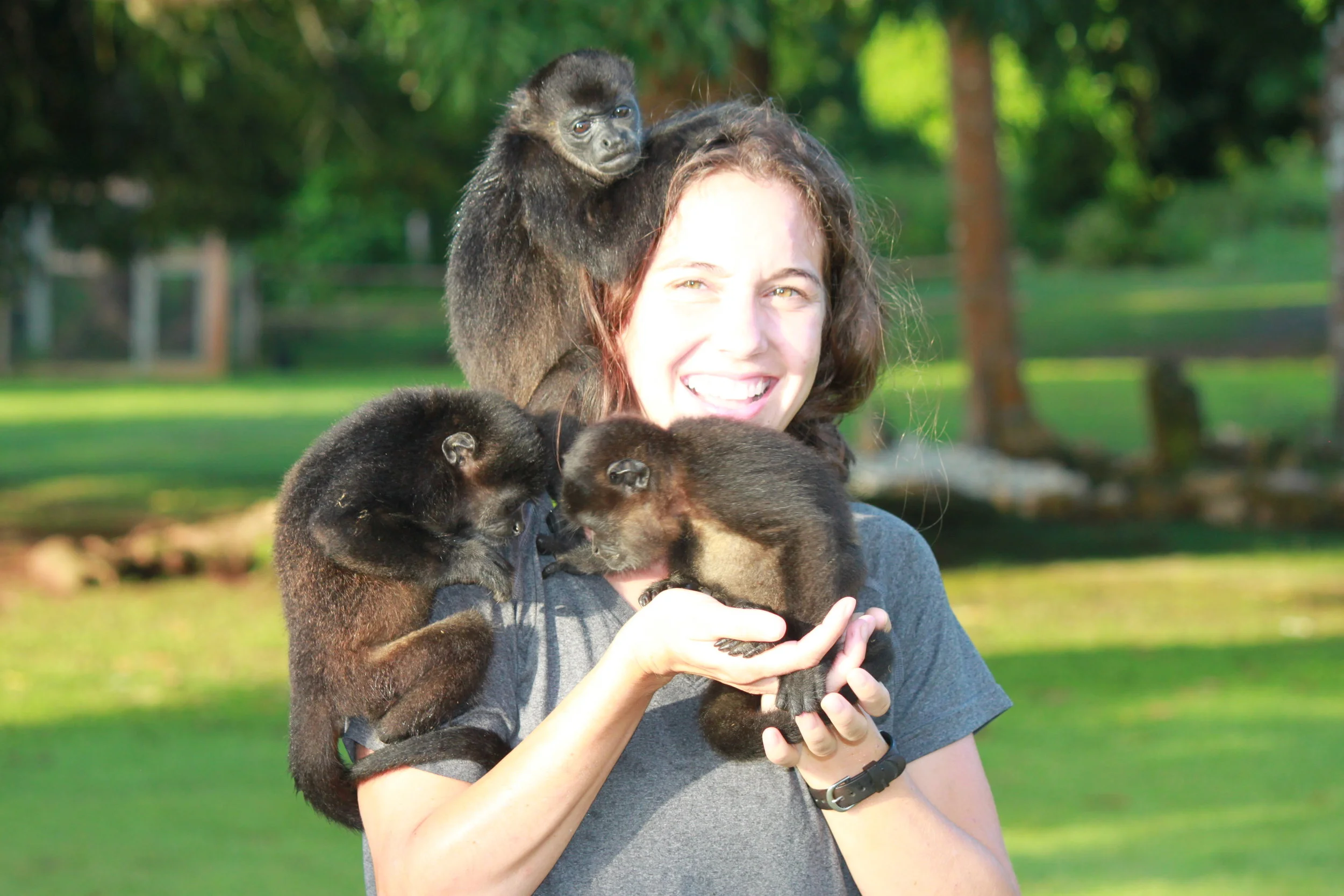 Infant Mantled Howler Monkeys