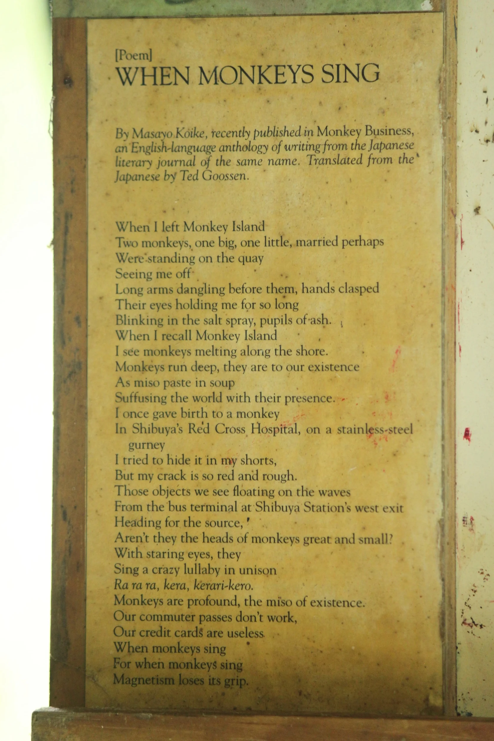 [Poem] When Monkey's Sing