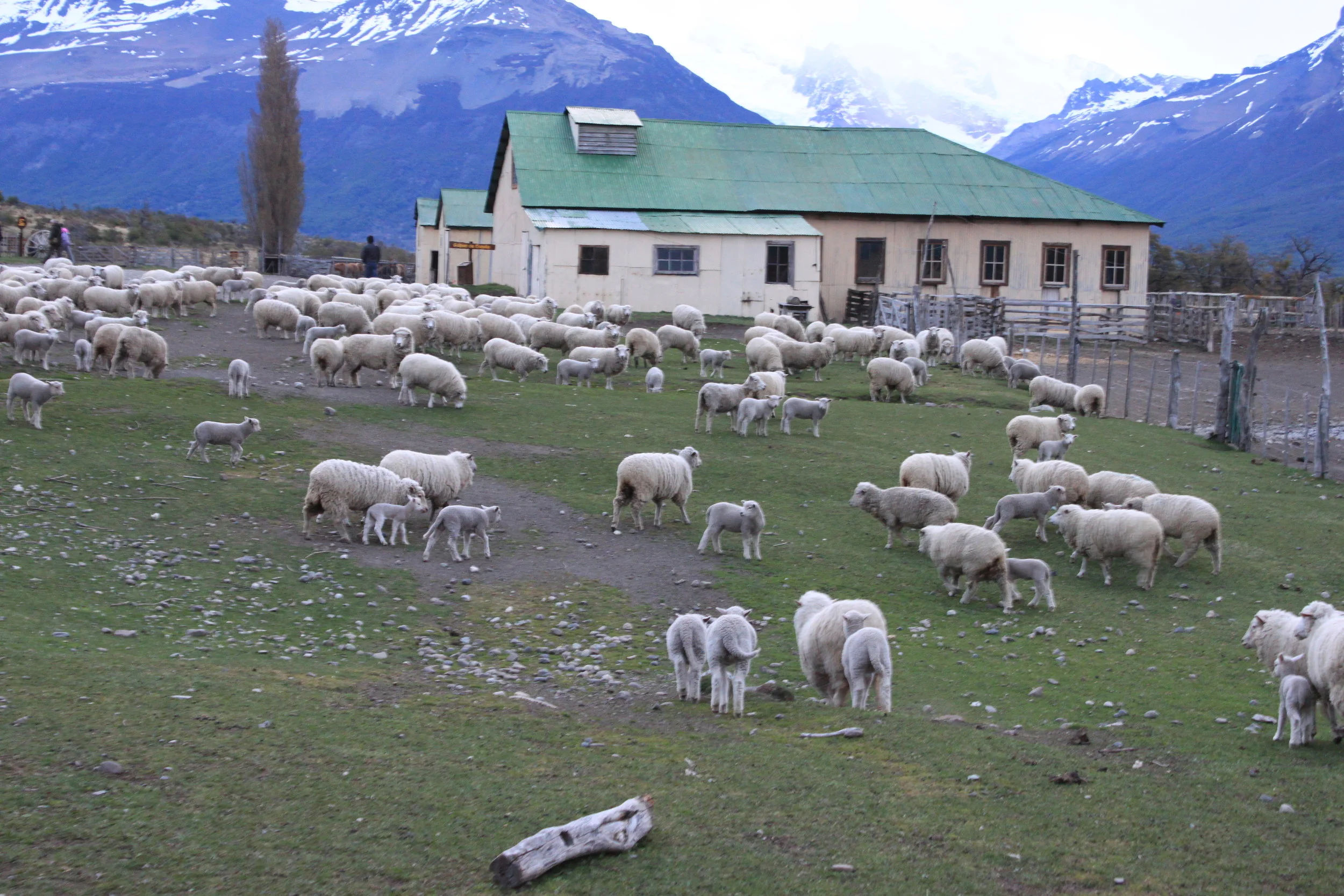 Traditional Estancia, Nipebo Aike