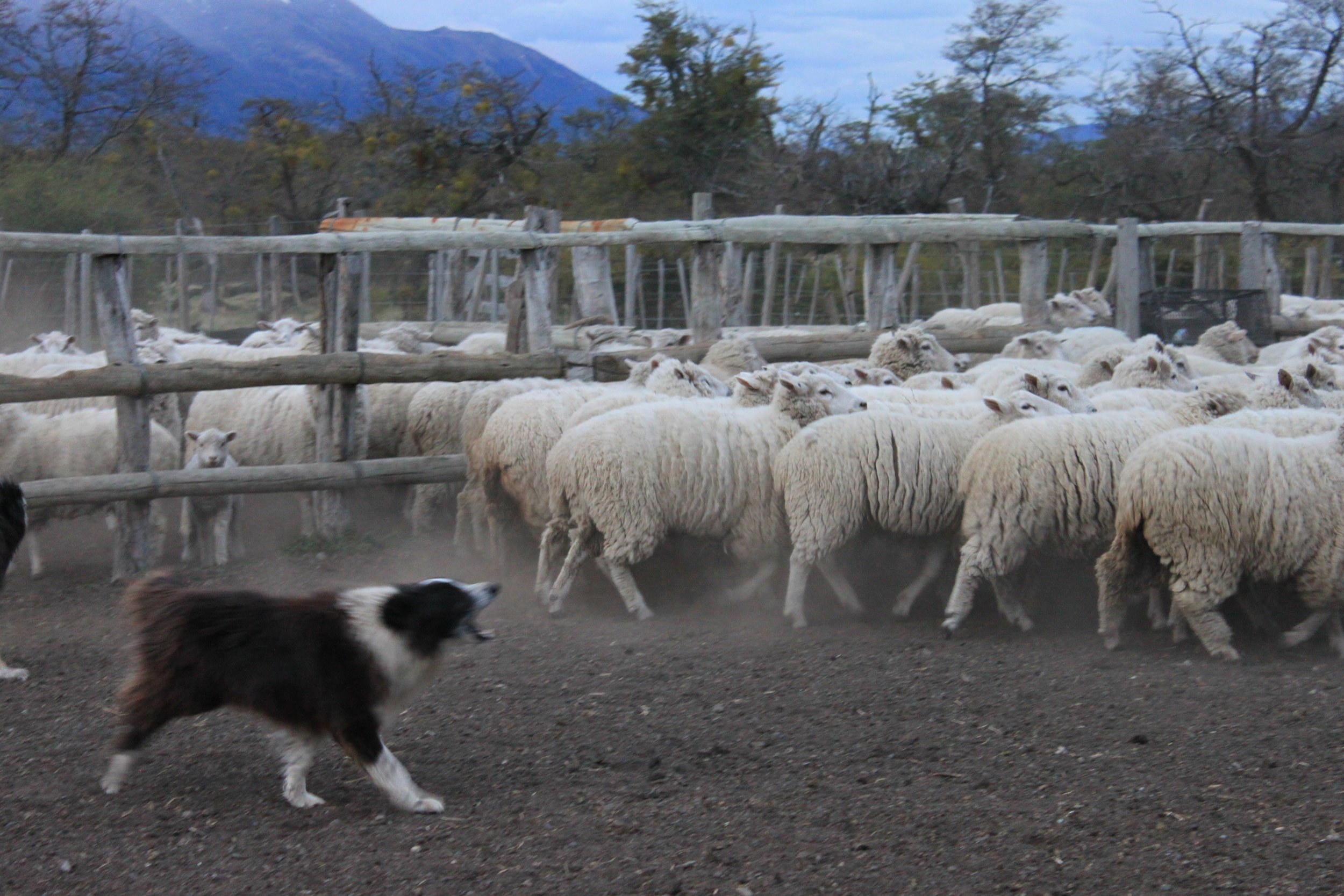 Traditional Estancia, Nipebo Aike