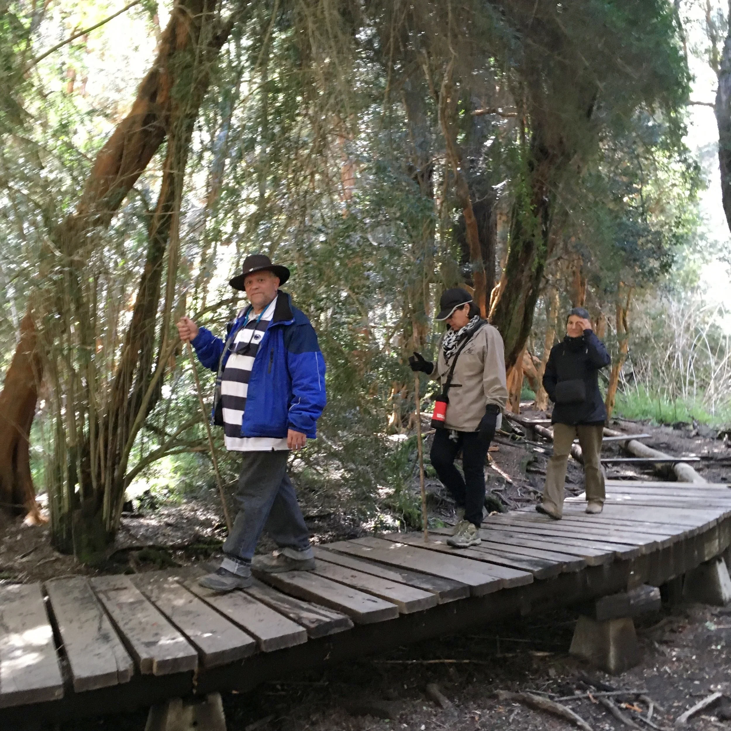 Llao Llao Park, Bariloche