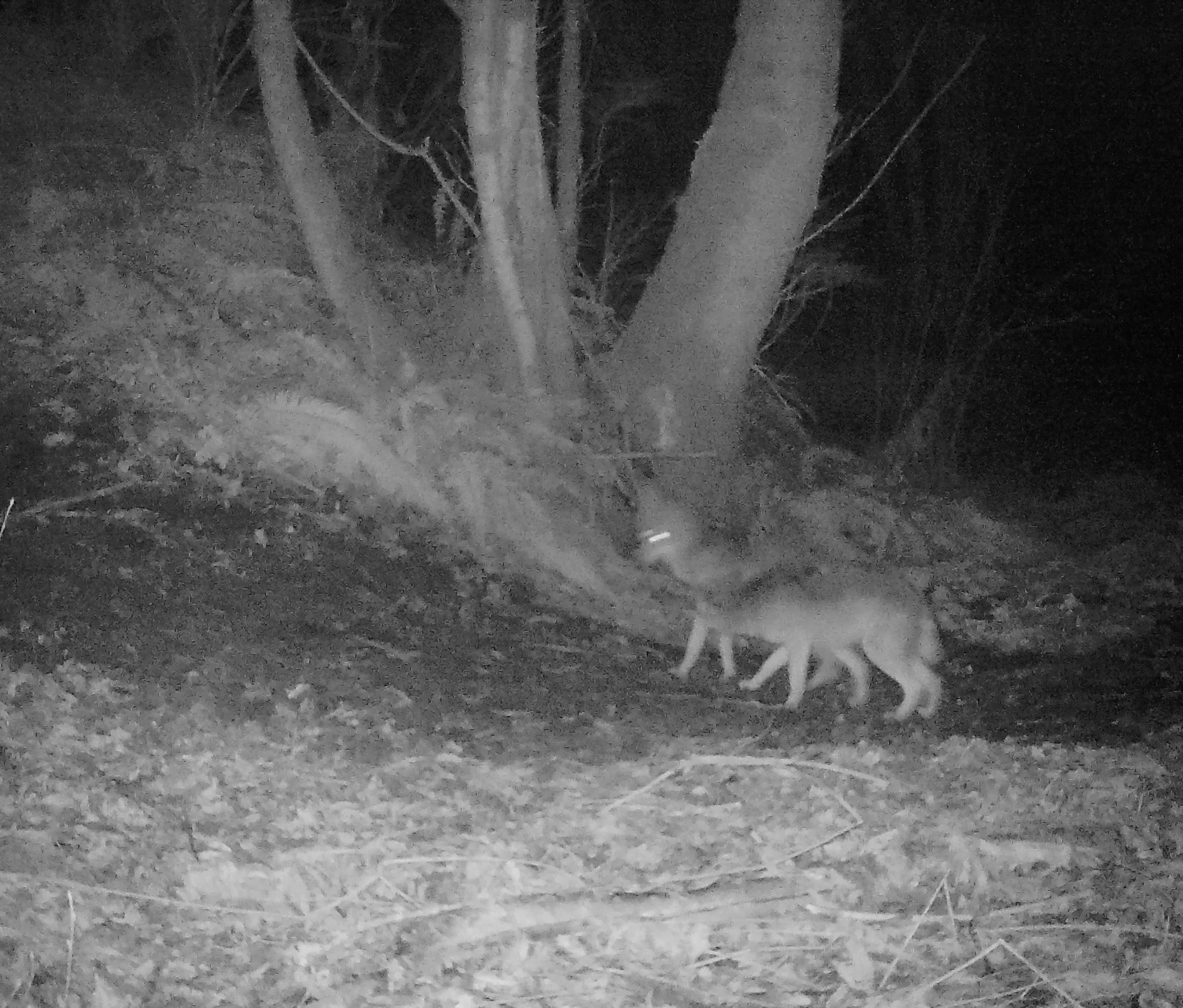 Your Backyard. Their Backyard