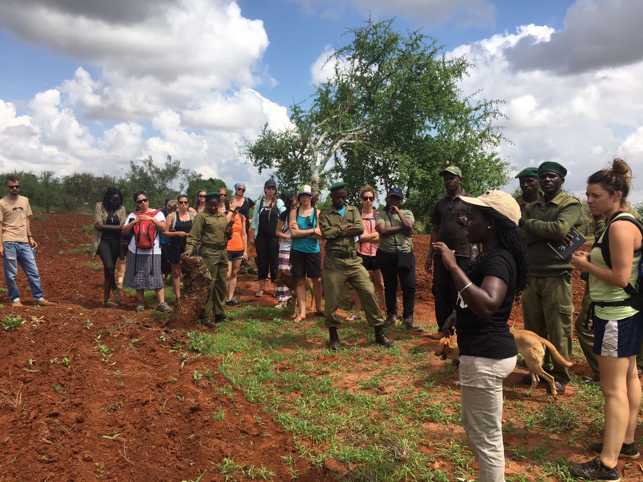 Community Outreach