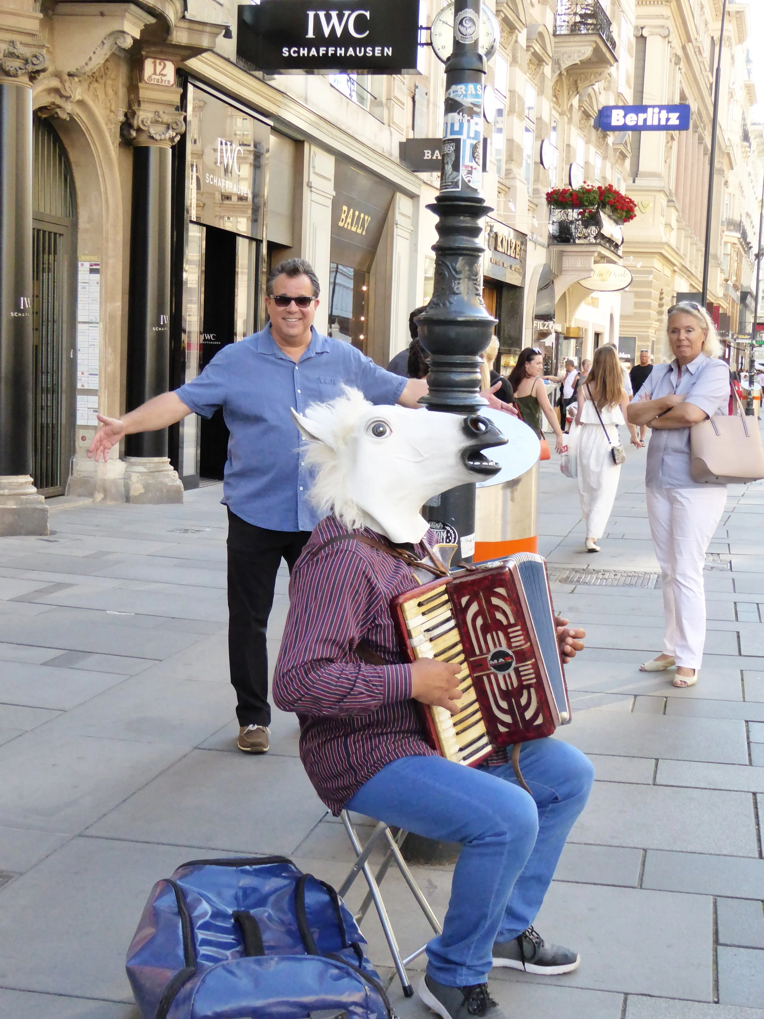 A Horse and His Accordion