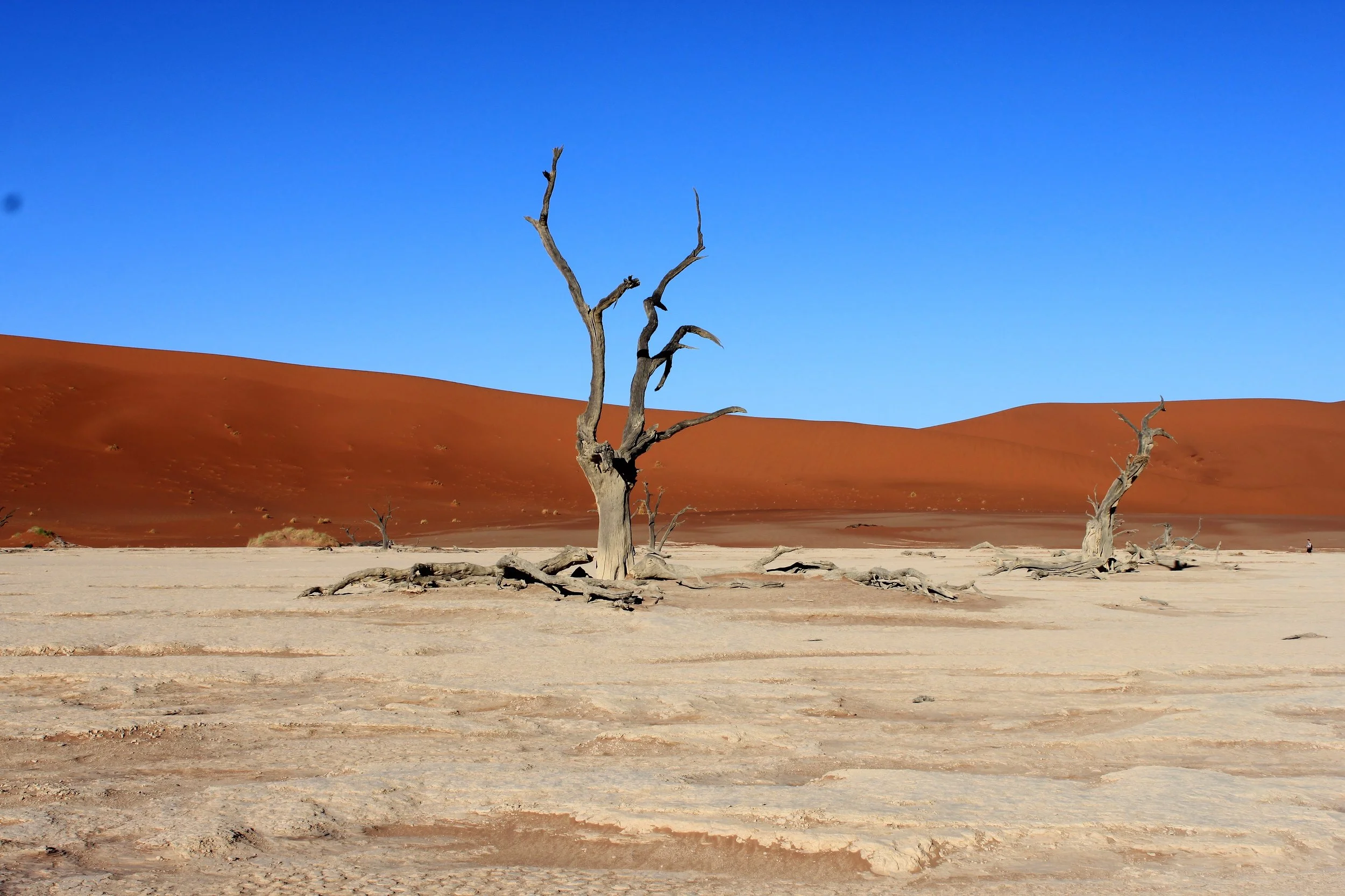Dead Vlei