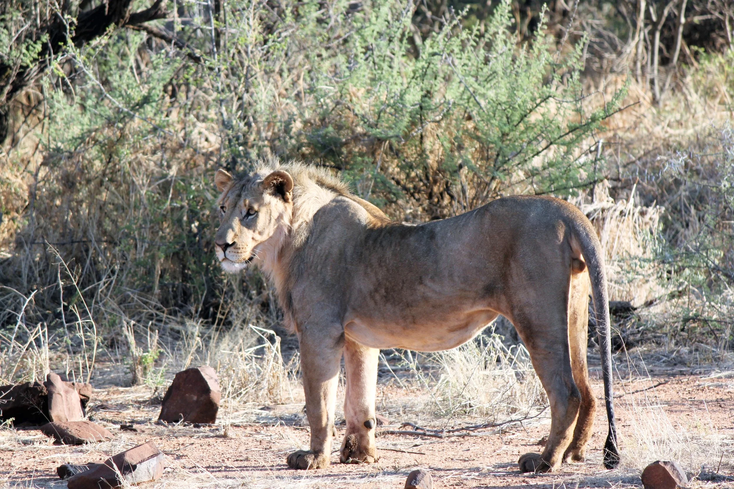 Erindi Game Reserve