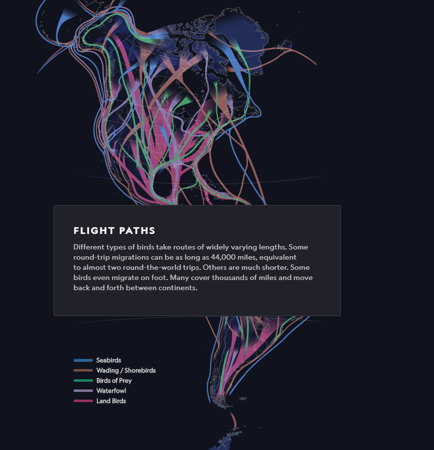 Interactive Map on Migratory Birds