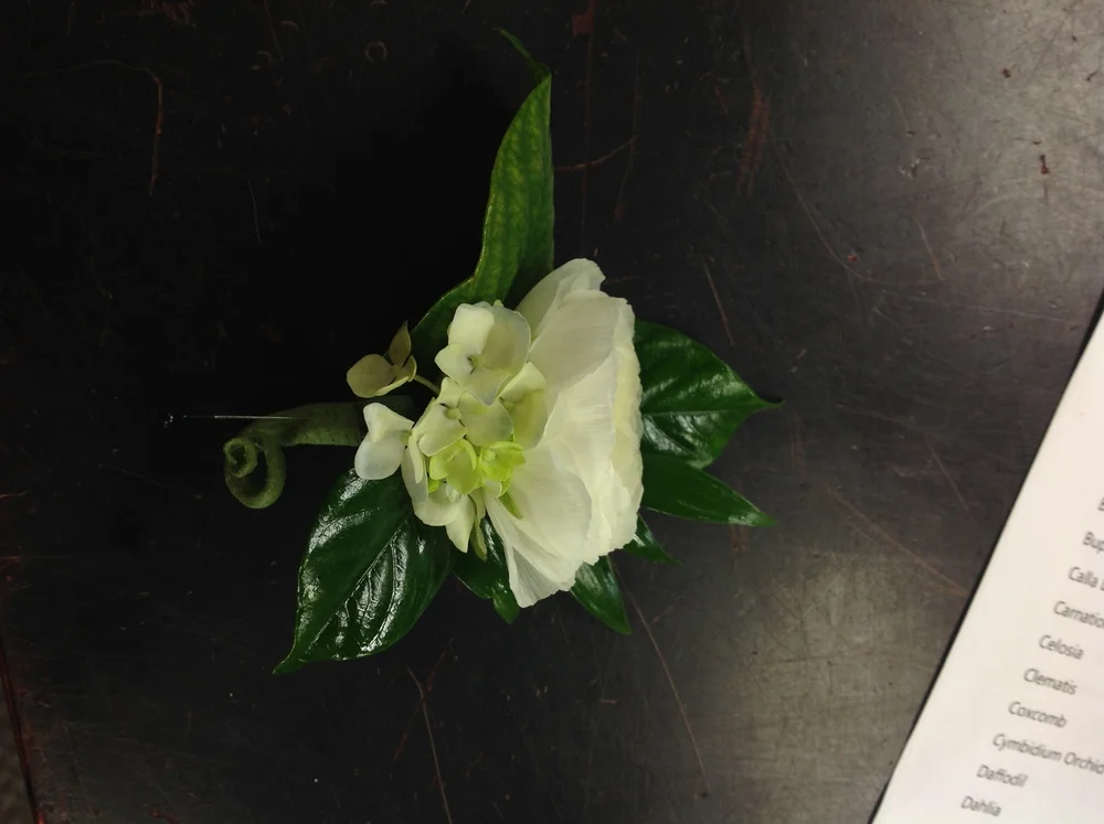 IMG_3828.JPG