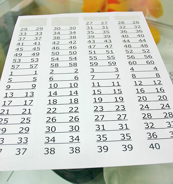 Torbugesic Dosage Chart