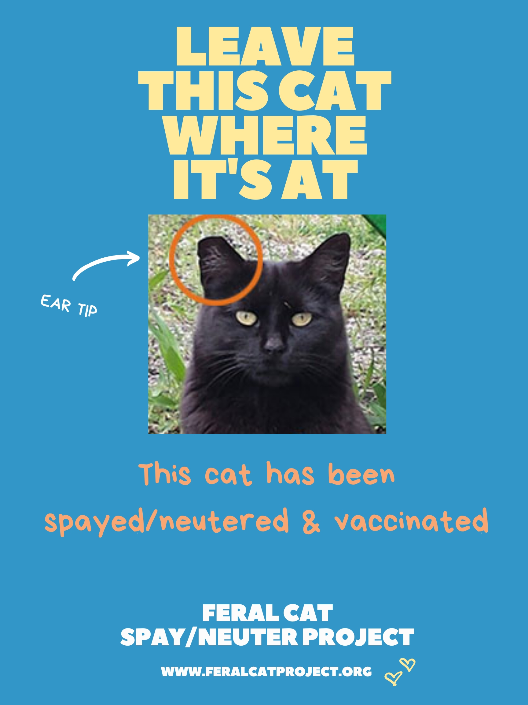 Ear Tipping Feral Cat Spay Neuter Project