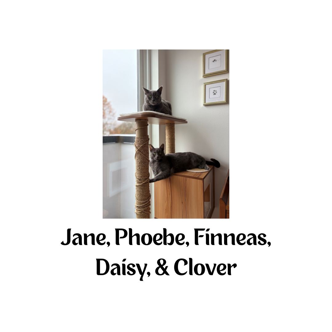 Sips Sponsorship Logos (9).png