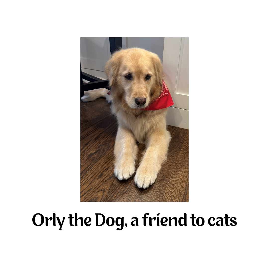 Sips Sponsorship Logos (28).png