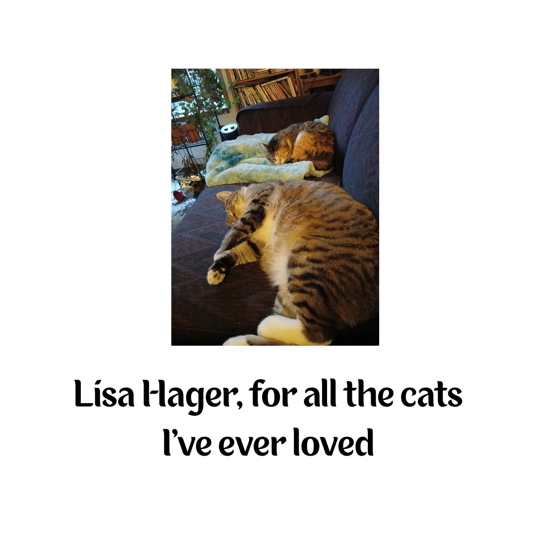 Sips Sponsorship Logos (17).png