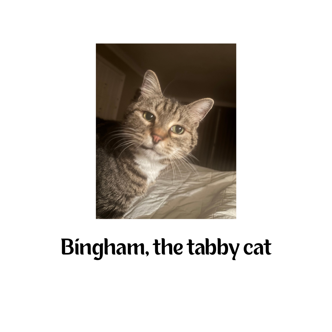 Sips Sponsorship Logos (10).png