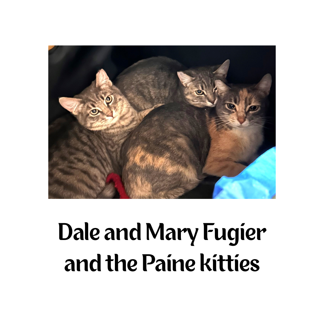 Sips Sponsorship Logos (13).png