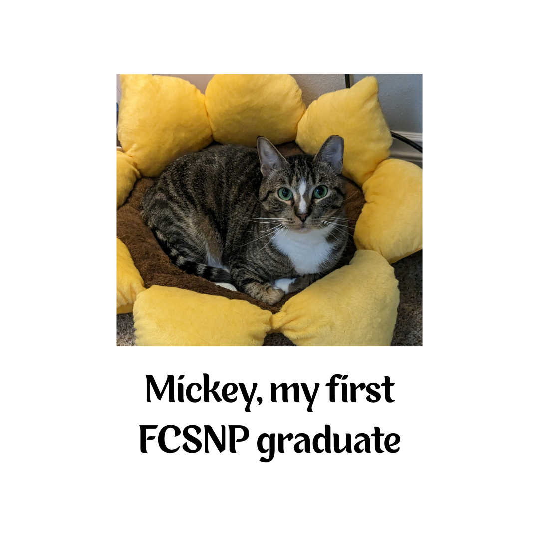 Sips Sponsorship Logos (18).png