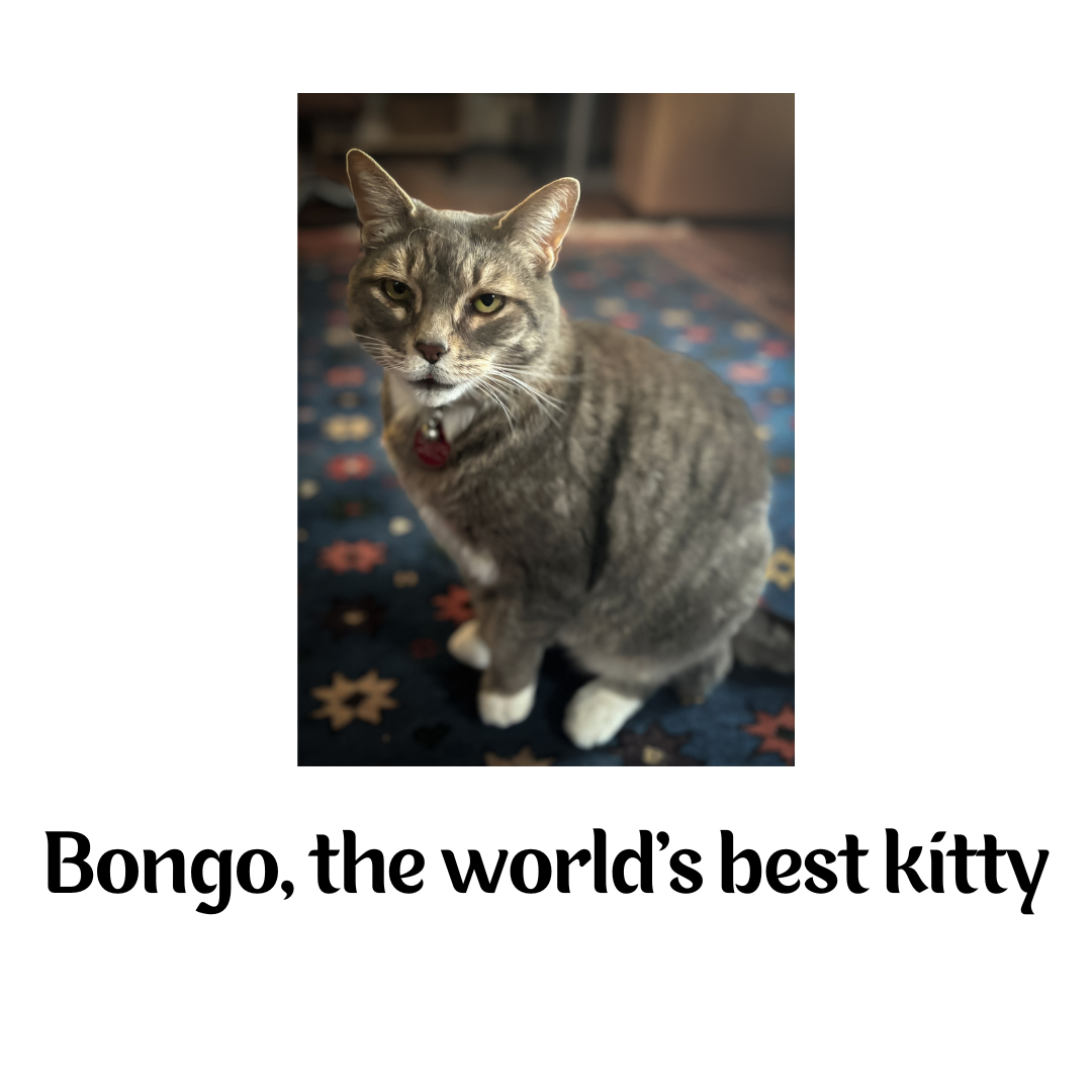 Sips Sponsorship Logos (12).png