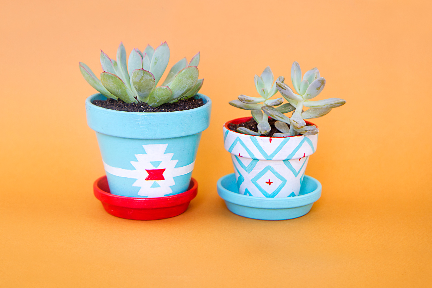 Little navajo style for your succulents!