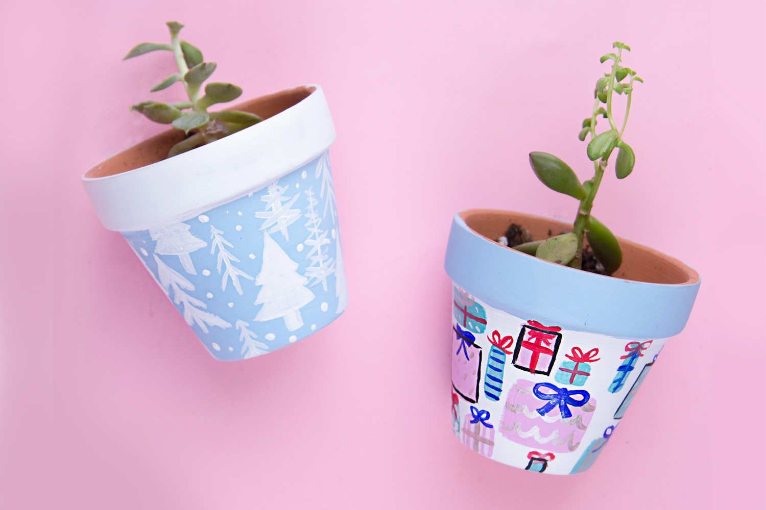 holiday-succulents-project-1500x1000px.jpg