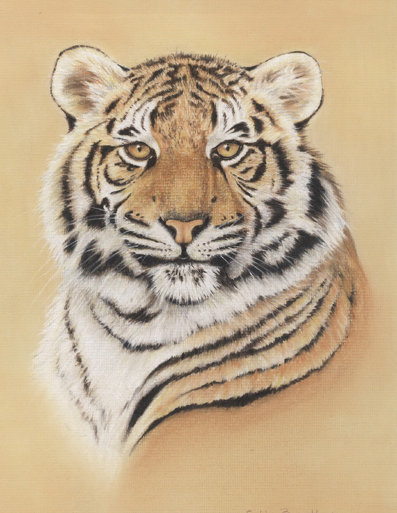WWF Tiger