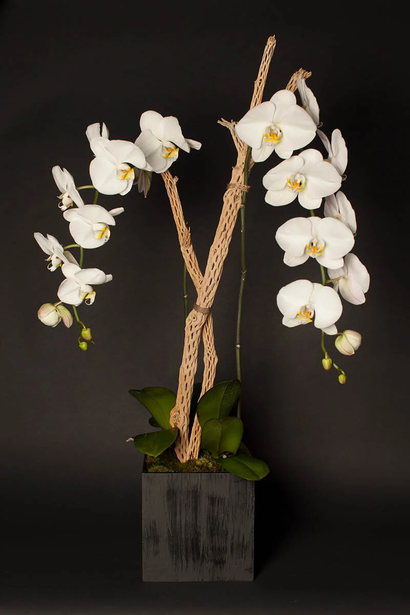 6 Floral Alternatives to Roses For Valentine's Day — Eddie Zaratsian