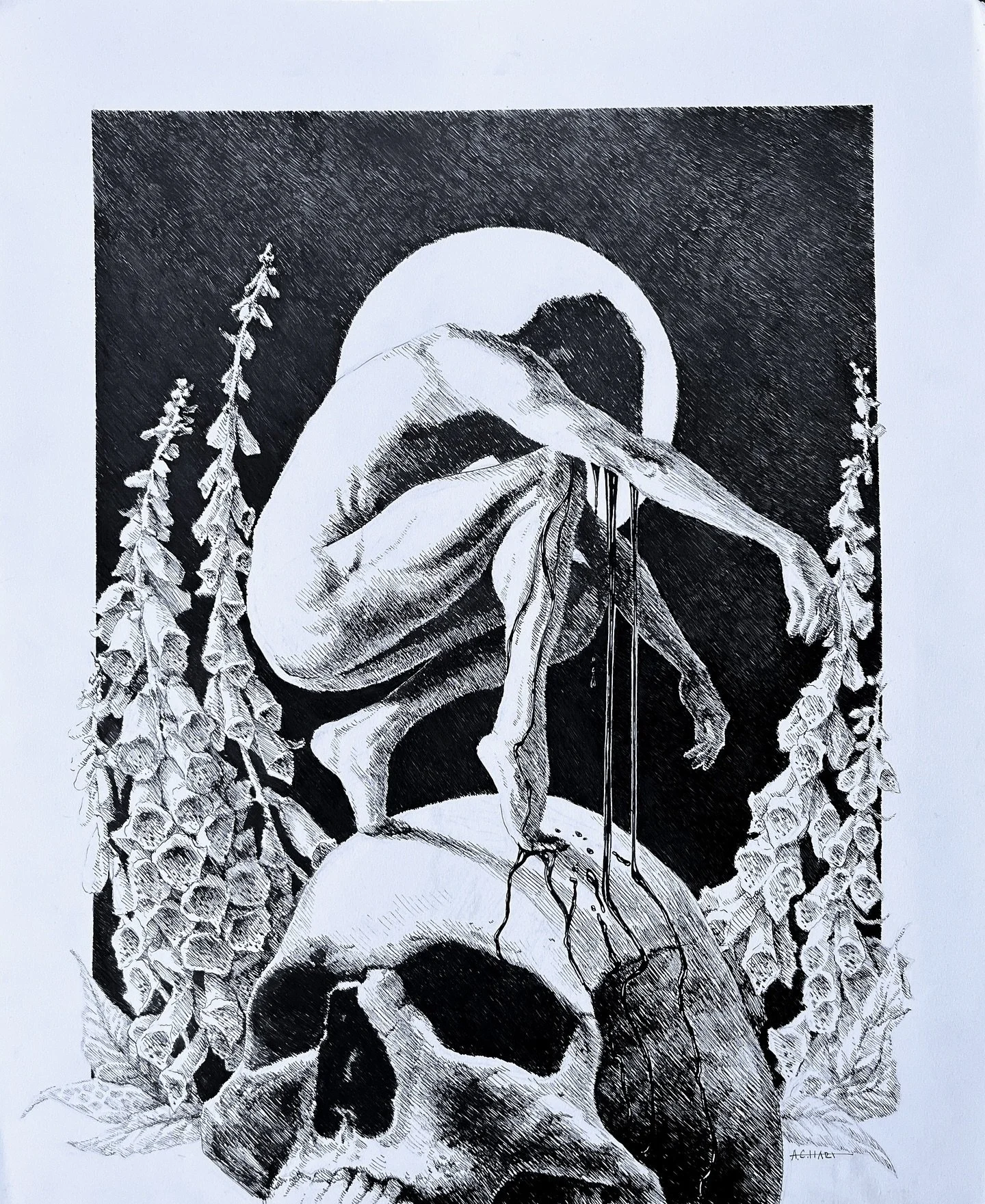 So it is. 

Dear Philip,
Ink on Bristol 
14x17&rdquo;
2024

#illustration #surrealart #surrealism #horror #horrorart #handdrawn #relationships #pen #ink #inkart #linework