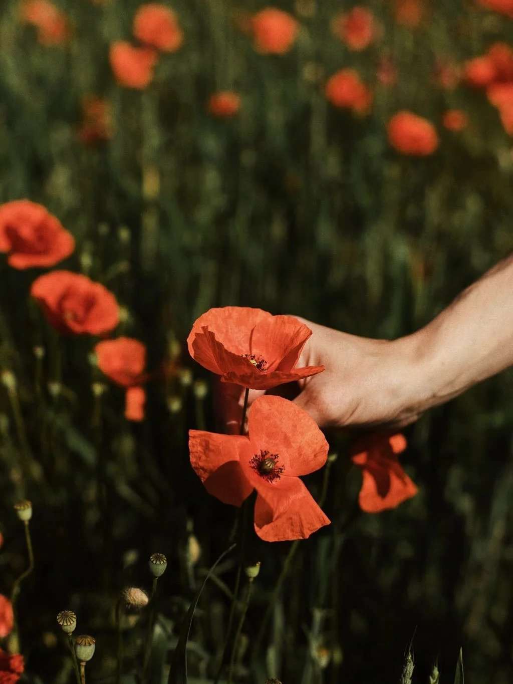 Next week we&rsquo;re going to transition into our new theme, Blooming. The theme will be the foundation for the next print issue, this year&rsquo;s workshops, events, book club reads, blog features and more. 

The inspiration behind the theme is The