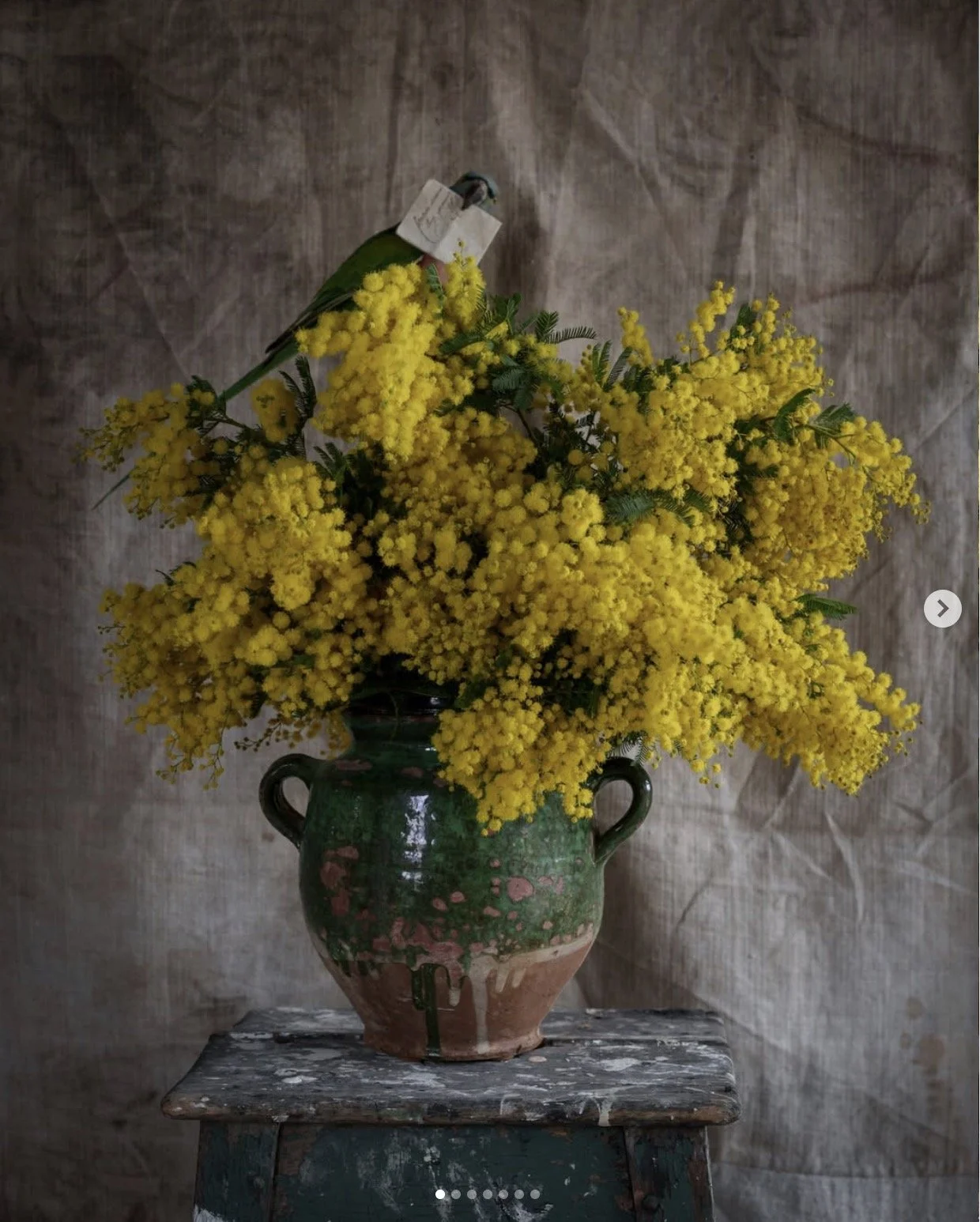 Heiter Session: Photography Online Workshop with Joanna Maclennan